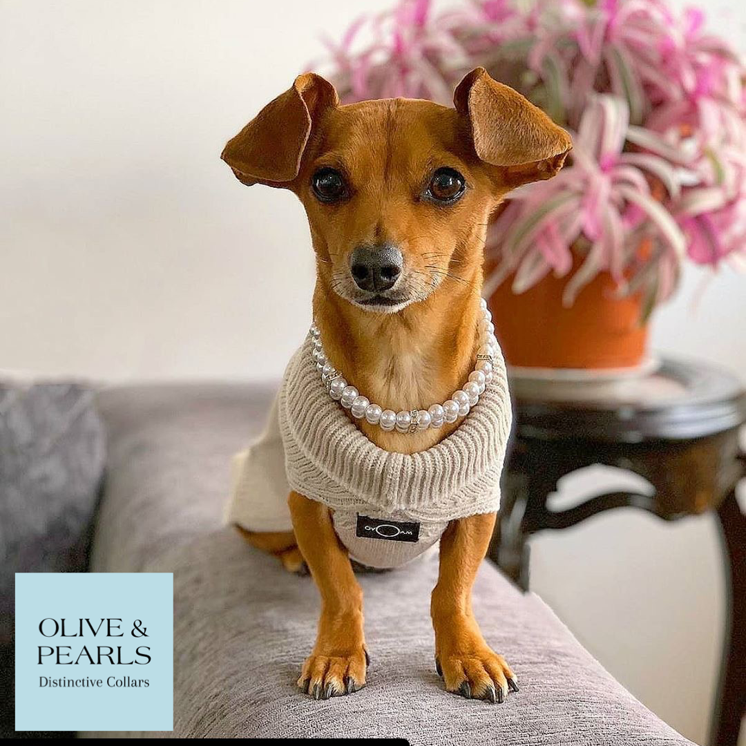 The Poppy Pearl Dog Collar