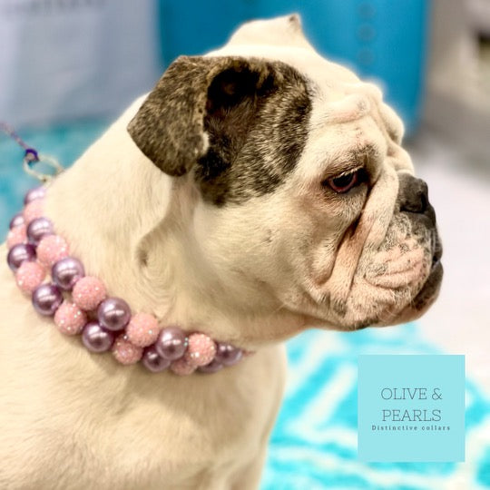 Luxury Dog Chain Collar Stainless Steel Big Large Dog Heavy Duty Choker  Necklace | eBay