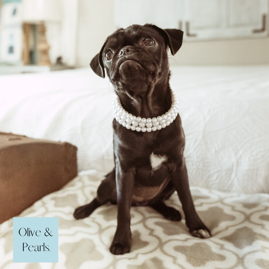 Allacki Artificial Pearl Elastic Pet Collar Necklace for Small Medium Dog |  eBay