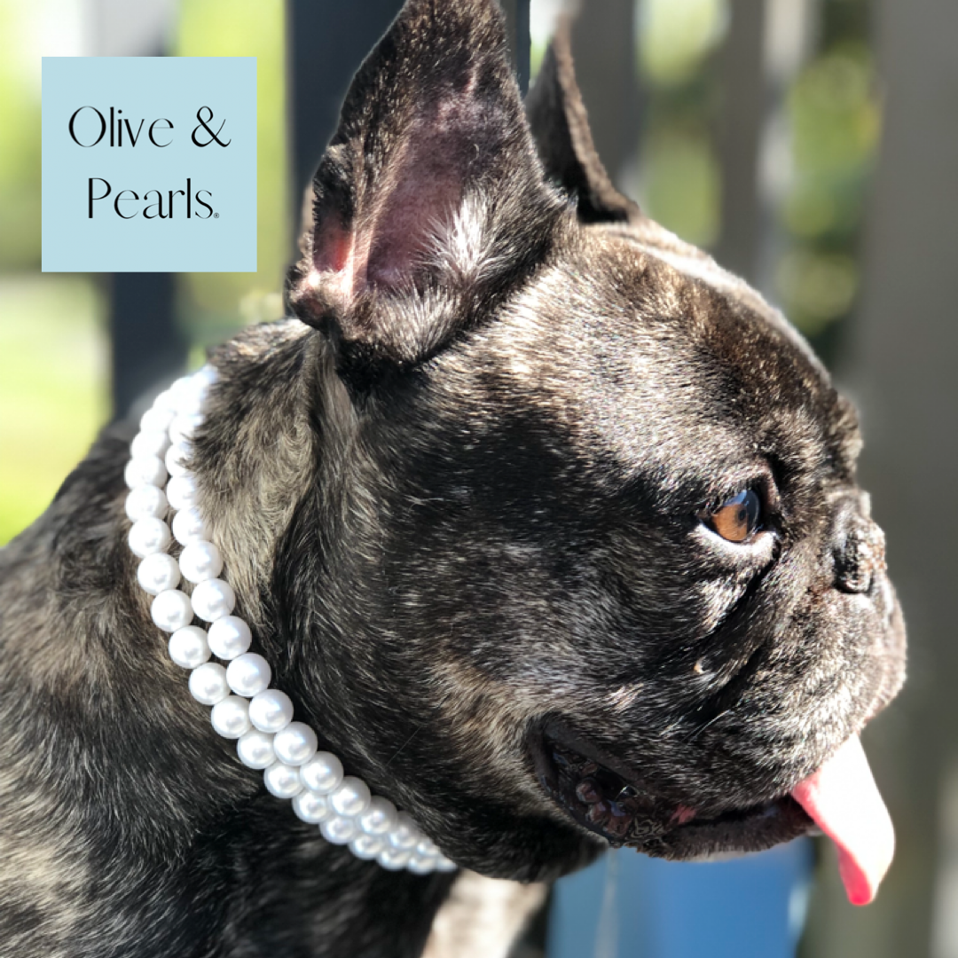 The Harper Pearl Dog Collar