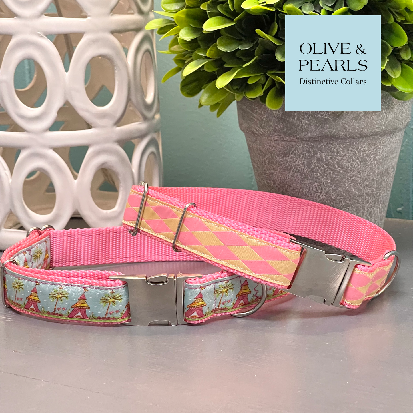 Pink Harlequin Personalized Collar
