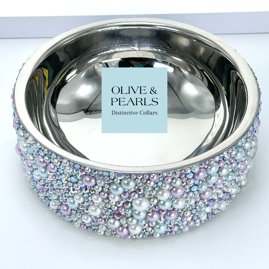 The Ice Queen Insulated Embellished Pet Bowl